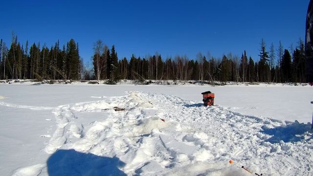 Ловим подъязка и сорогу на 26 км. ЯМАЛ