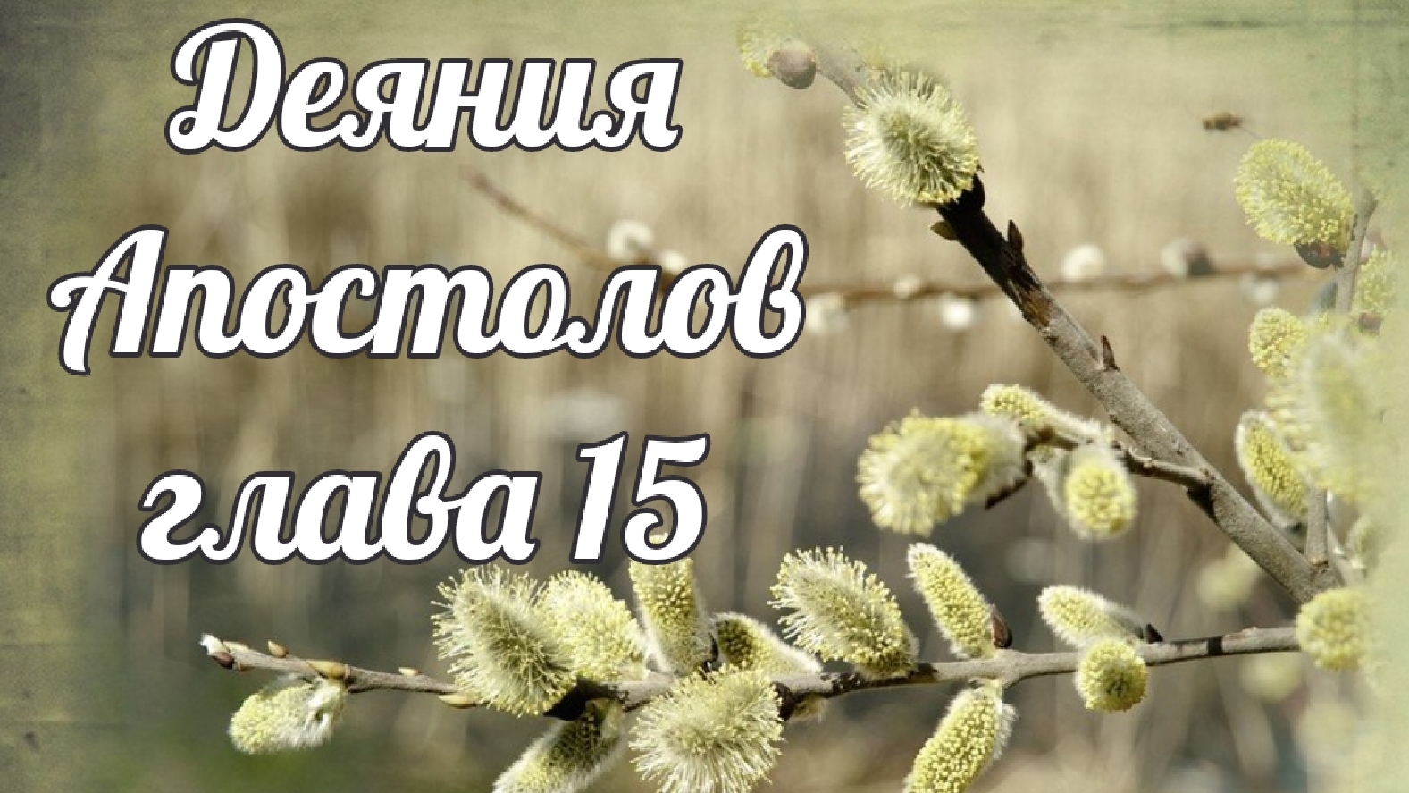 Деяния Апостолов глава 15