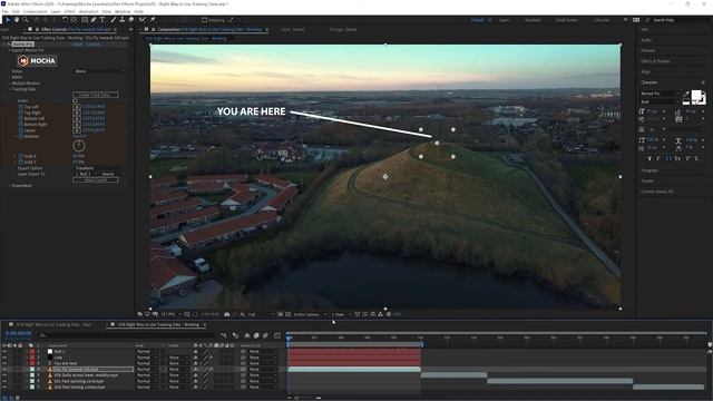 05a Using the Data - Transform [Mocha Essentials