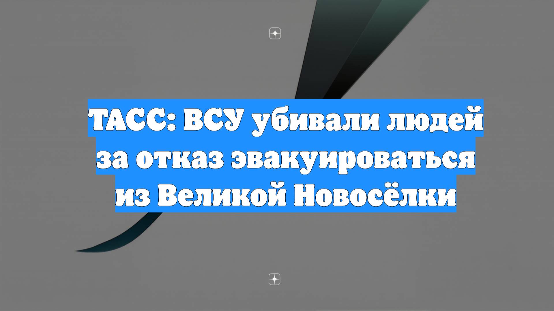 ТАСС: ВСУ убивали людей за отказ эвакуироваться из Великой Новосёлки