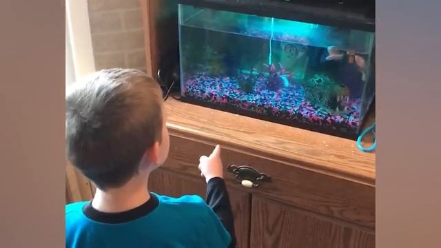 Белуга в зоопарке - 2020 год