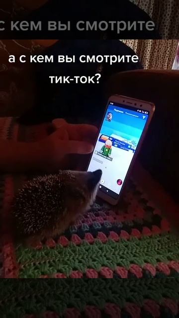 А у вас есть такие друзья?