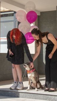 Иностранные лекторы в Международной Ветеринарной Академии