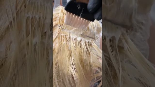 LAROS beauty color