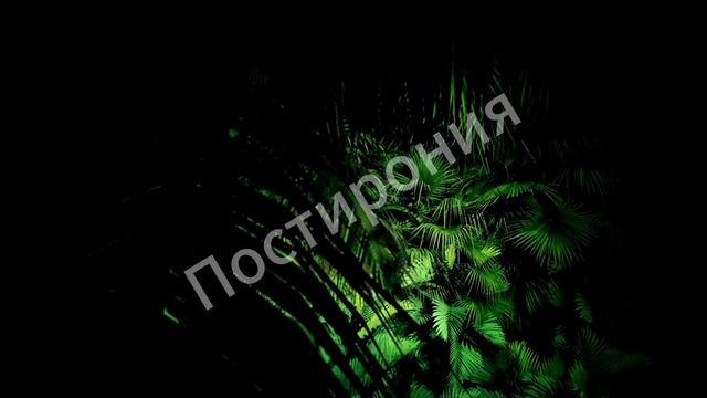 Превью. Зацикленное видео №11