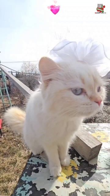 Awesome God 😇🌞🌈💓😻😻🌎