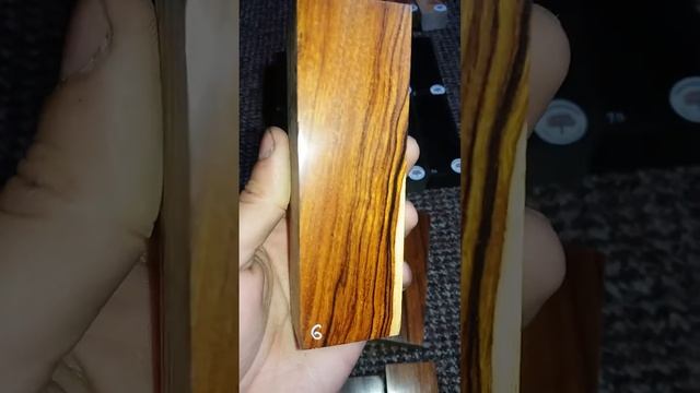 Arizona Desrt ironwood