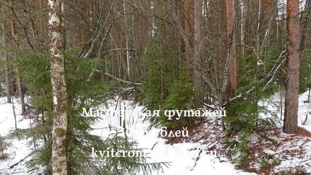 Вербное воскресенье