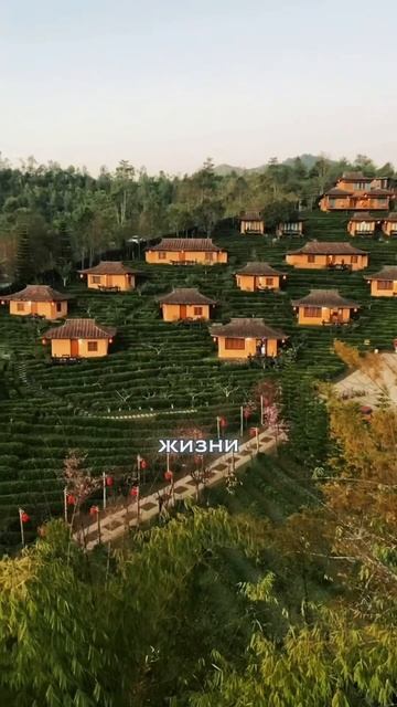 ❓Что вы получите, приобретая недвижимость в Таиланде? 🇹🇭