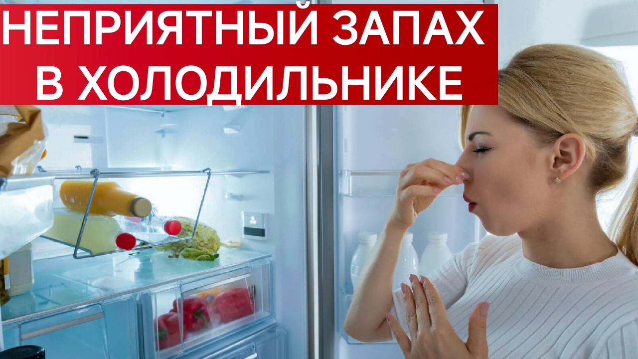 КАК УСТРАНИТЬ НЕПРИЯТНЫЕ ЗАПАХИ В ХОЛОДИЛЬНИКЕ? КАК УДАЛИТЬ НЕПРИЯТНЫЕ ЗАПАХИ ИЗ ХОЛОДИЛЬНИКА?