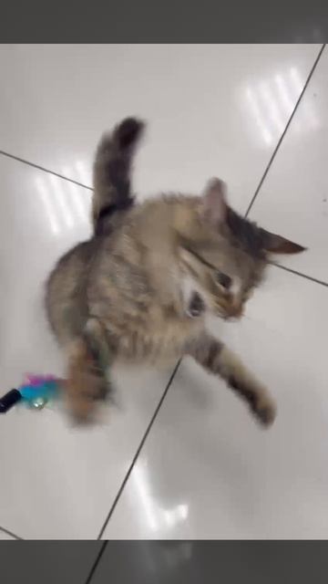 12 апр