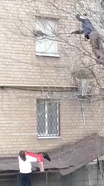 VID_20250411_123351_927