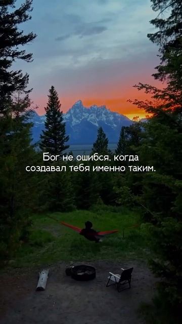 💙🌳