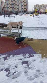 ода любви