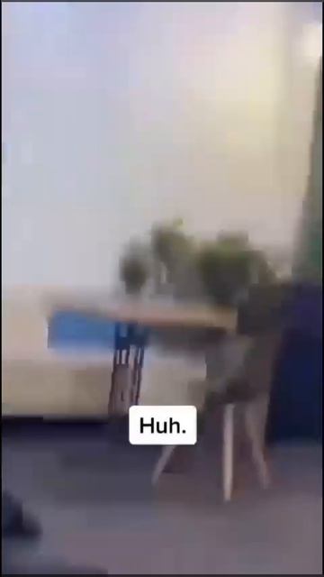 Сила подушки безопасность.
