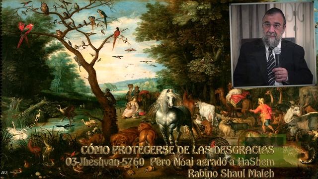 Noaj Halló Agrado ante los Ojos de HaShem. Cómo Protegerse de las desgracias Rab. Shaul Maleh