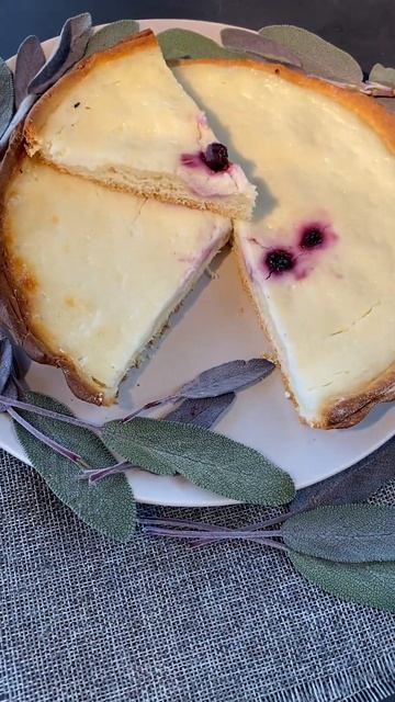 pexels anna bondarenko 5534141