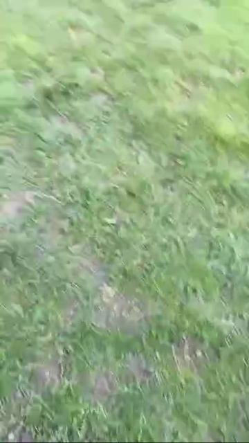 Мужик ездит рыбачить на болиде F1.  У электроскакуна от Kawasaki проблемы😎
