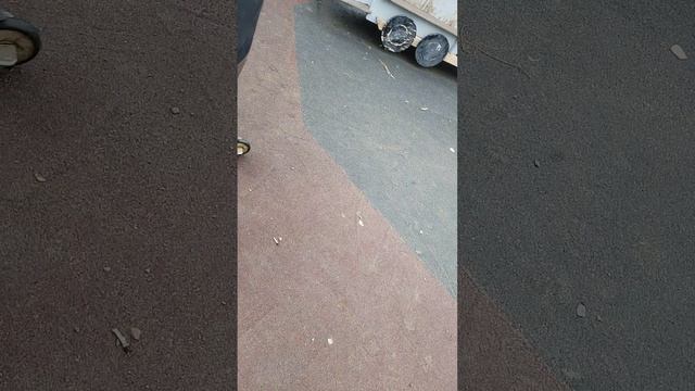 VID_20250412_161920.mp4