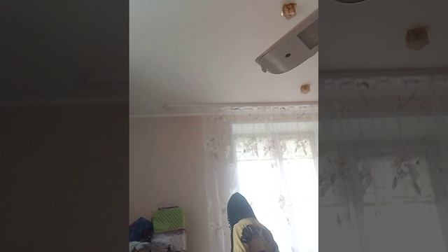 VID_20250412_065848.mp4