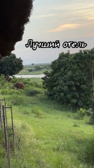 Отель в Африке