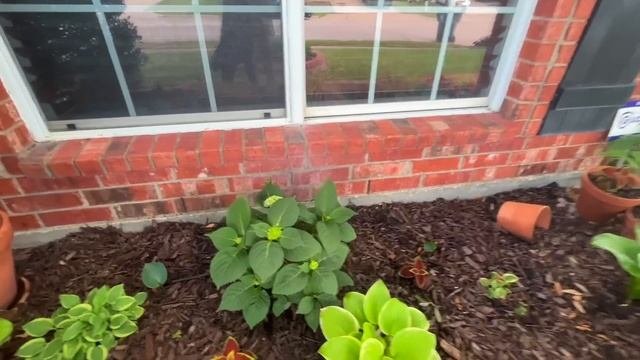 Front Yard Garden | Mid Spring Tour
