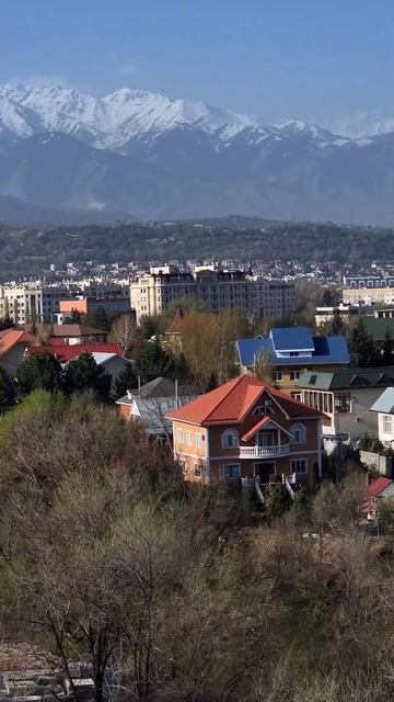 Утро Алматы. 12.04.2025.