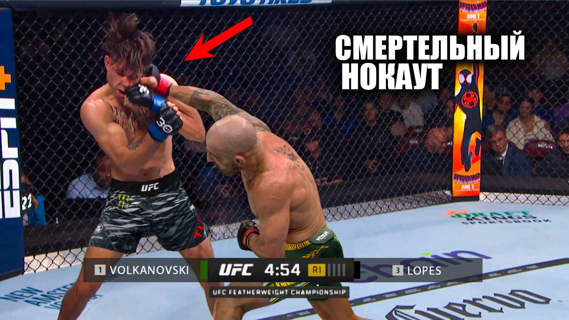 НОКАУТ ГОДА С УДАРА! Бой Алекс Волкановски VS Диего Лопес UFC 314 / Смотреть Прямой Эфир ЮФС 314