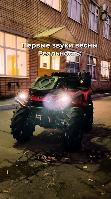 Первые звуки весны: Ожидание vs Реальность 😂