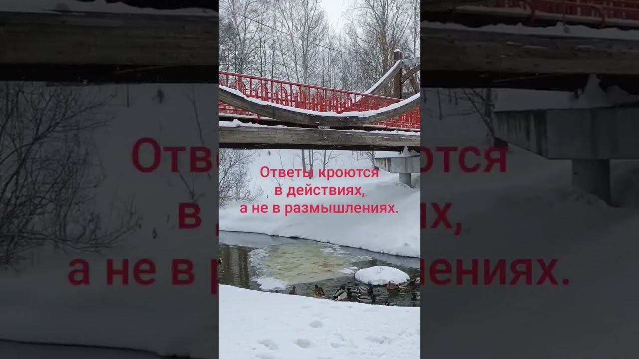 #жизнь #здесьисейчас