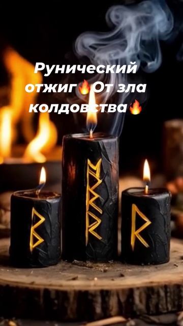 FZNR2456