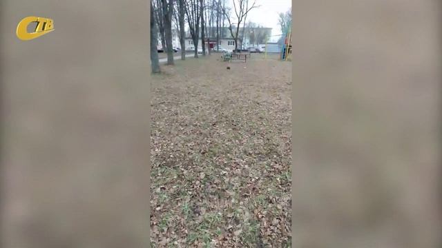 ЖЕЛЕЗНОГОРЦЫ ИНТЕРЕСУЮТСЯ ДАЛЬНЕЙШЕЙ СУДЬБОЙ БЫВШЕЙ СЦЕНИЧЕСКОЙ ПЛОЩАДКИ РЯДОМ СО ШКОЛОЙ №4