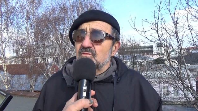 Ушати горски сови превзеха центъра на Силистра