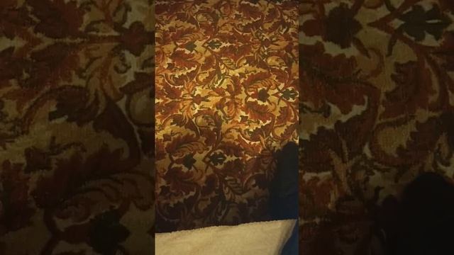 Стихи мои video_3257549854193.mp4