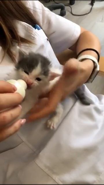 GÜNÜN MİNNOŞU. BEBEK HER YERDE BEBEK...