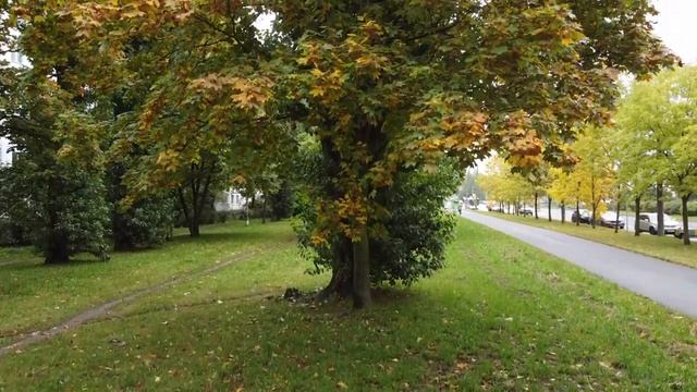 фасад ремонт панельные дома