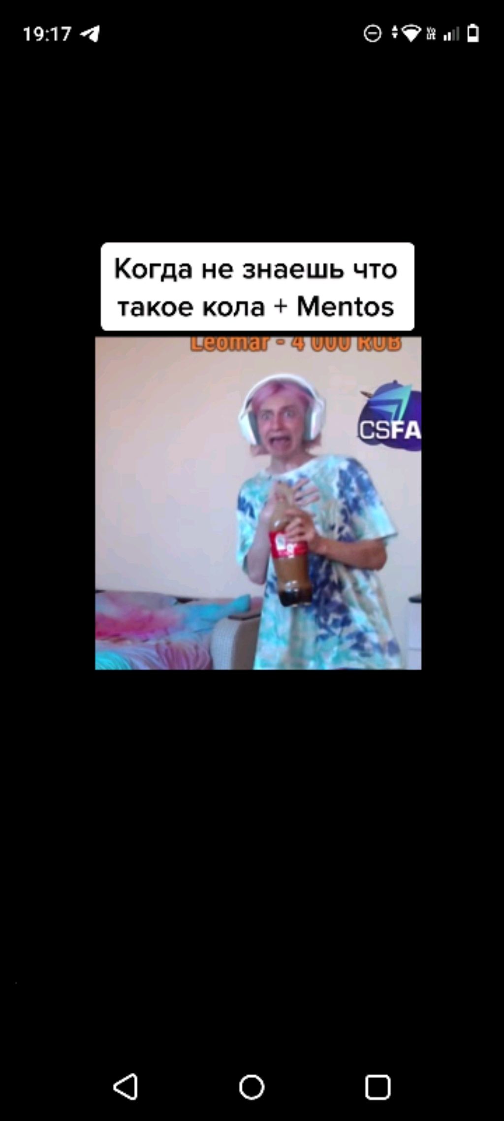 обзор на кошку