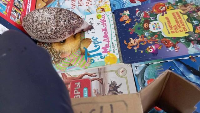 приключения Сальвадора. 3сезон 5серия.Глитч вирус#блоптоп