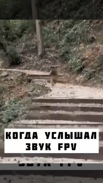 Лучше и не скажешь.mp4