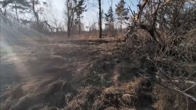 Артефакты