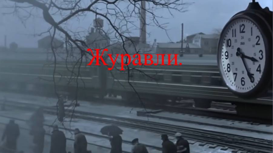 Журавли. Сергей Часовников.