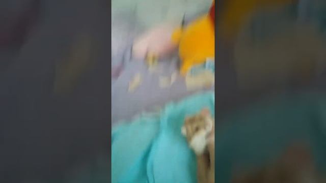 я не показывала долга видео😭