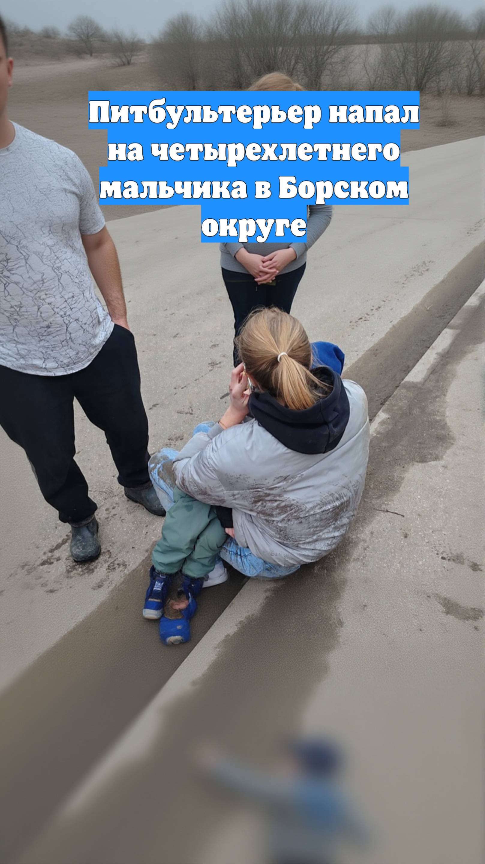 Питбультерьер напал на четырехлетнего мальчика в Борском округе
