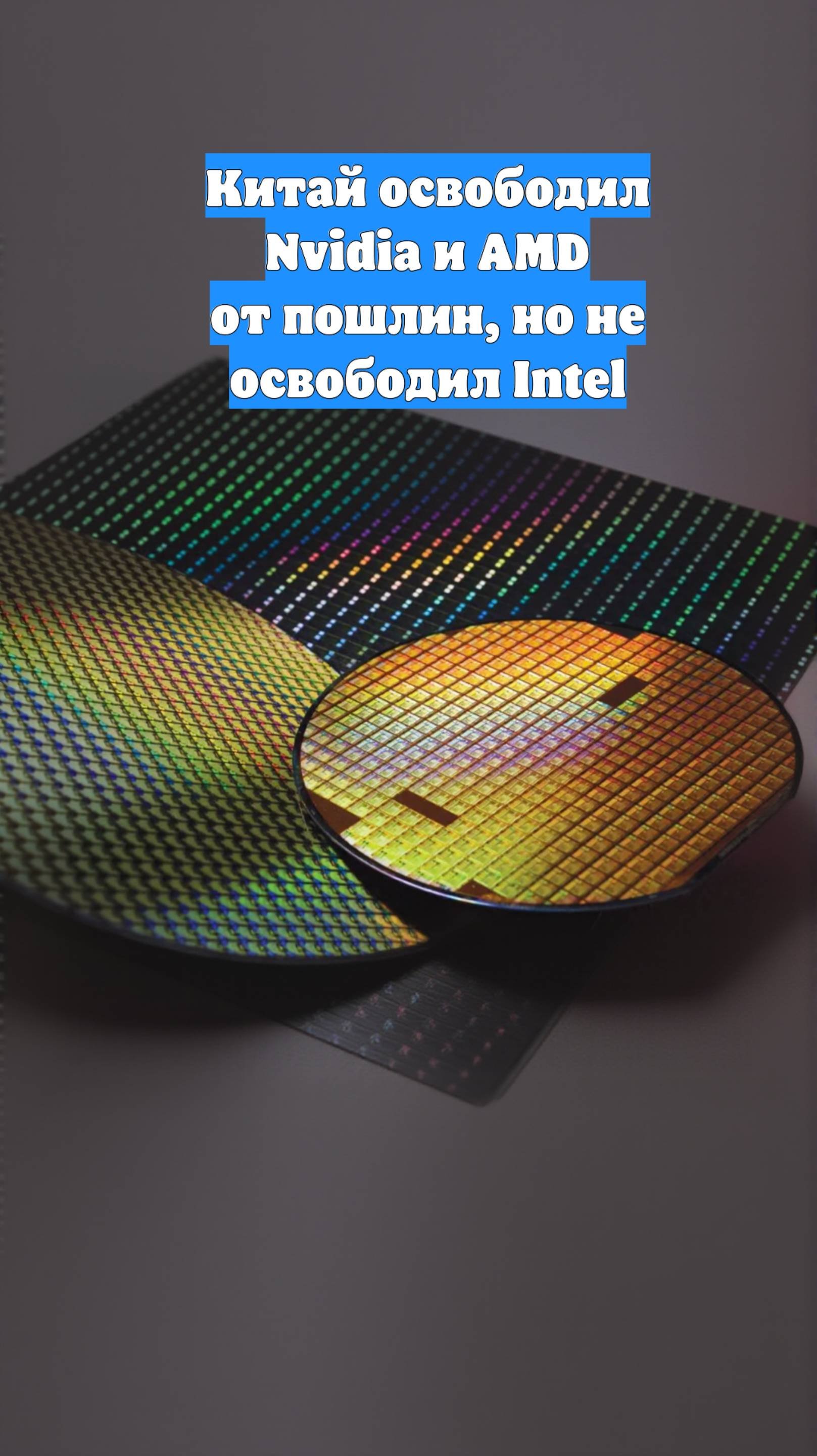 Китай освободил Nvidia и AMD от пошлин, но не освободил Intel