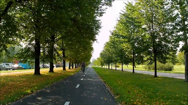 Пионерский парк. Пискарёвский пр. 11.09.2023.