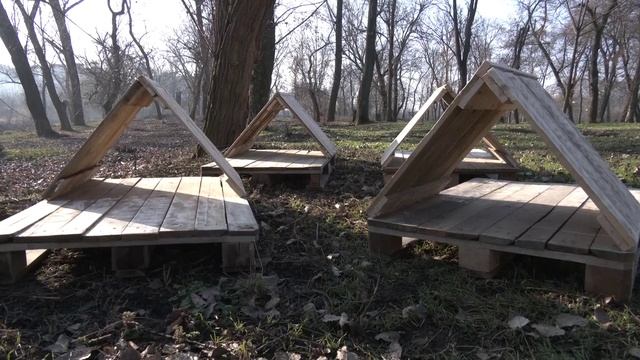 ВСЕРОССИЙСКАЯ АКЦИЯ "ПОКОРМИТЕ ПТИЦ ЗИМОЙ" ПРОХОДИТ В ЛУГАНСКЕ