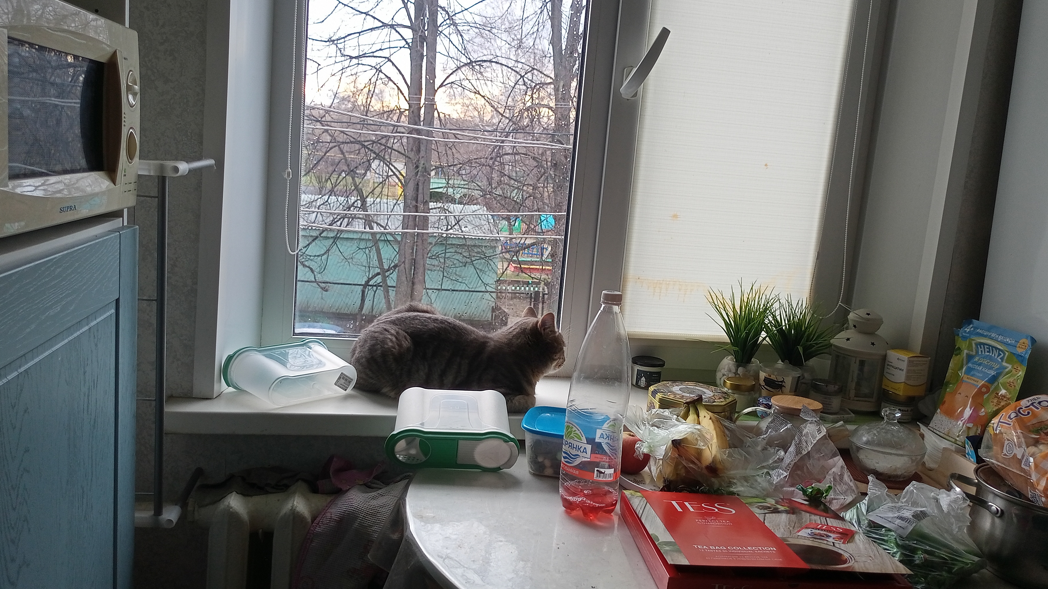 живу в деревне