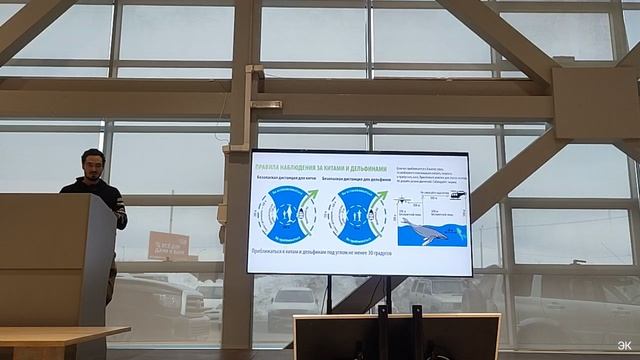 Морские млекопитающие Камчатки - биология и взаимодействие с человеком