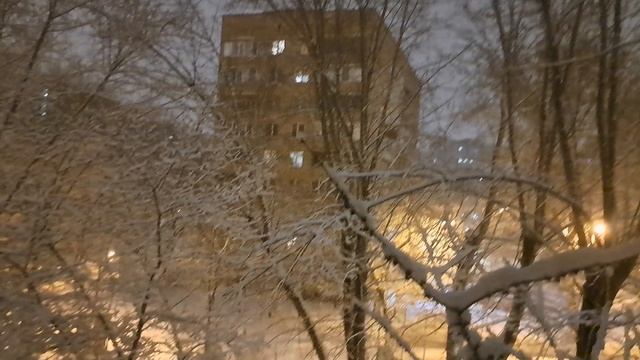 Вместо зелёного пушка Белый. Пусть в ленте будет это чудо