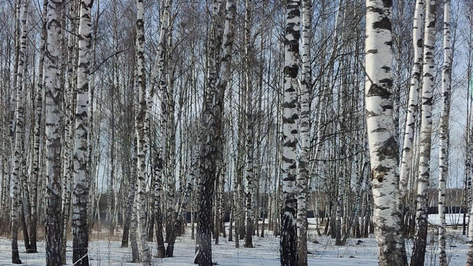 GREENWOOD